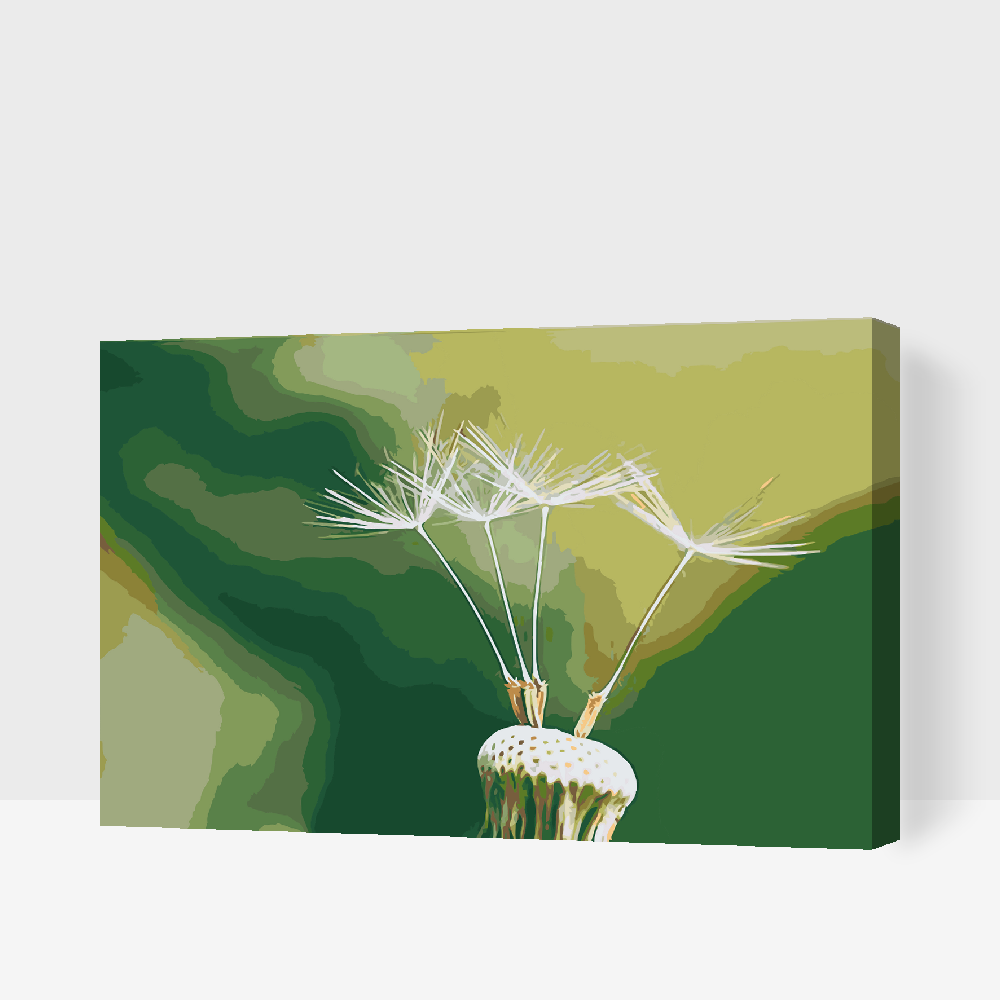 Malování podle čísel - Dandelion